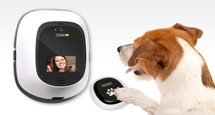 A dog is standing next to a video doorbell.
