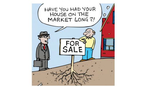 A cartoon of a man with a sign saying have you had your house on the market for a long time?.